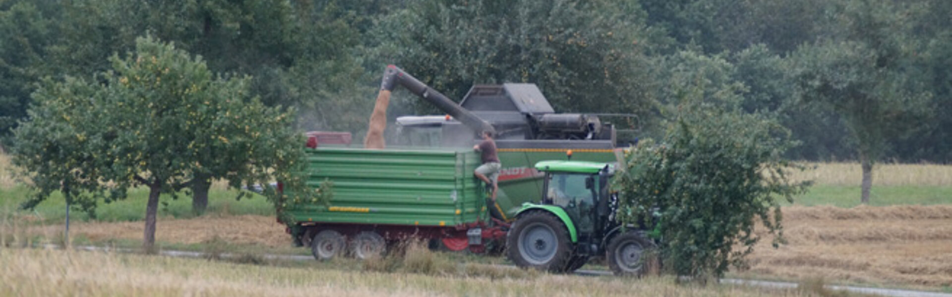 Landwirtschaft Traktor auf dem Feld